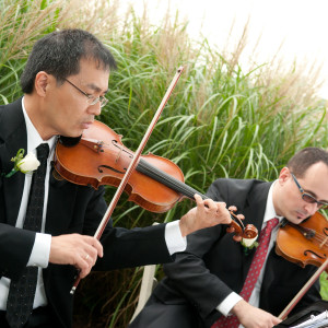 String Celebrations USA - String Quartet / Wedding Musicians in Cincinnati, Ohio