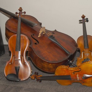 String Quartet Con Brio - String Quartet / Wedding Entertainment in Loveland, Colorado