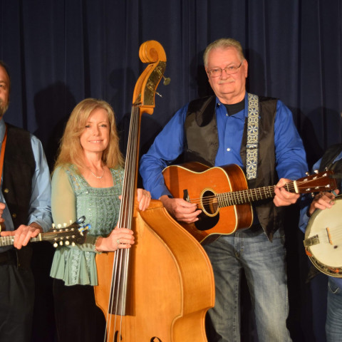 Hire Stringed Union - Singing Group in Willow Springs, Missouri