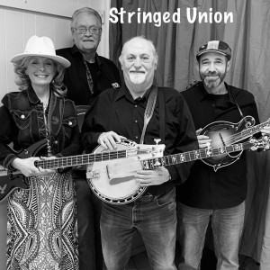 Stringed Union - Singing Group in Willow Springs, Missouri