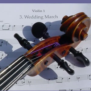 String Music - String Quartet / Wedding Entertainment in San Antonio, Texas