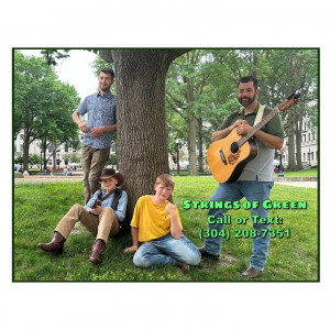 Strings of Green - Bluegrass Band / Acoustic Band in Beckley, West Virginia