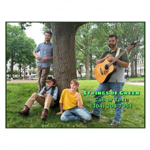 Strings of Green - Bluegrass Band in Beckley, West Virginia