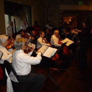 Strings of the Sonoran, Inc. - Classical Ensemble in Casa Grande, Arizona