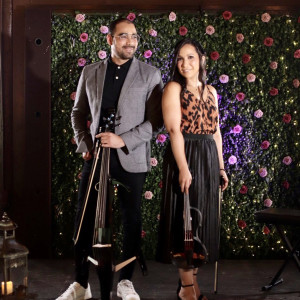 StringsMix - Violinist / Wedding Entertainment in Miami, Florida