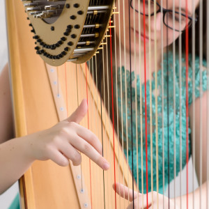 Strummed Strings Harp