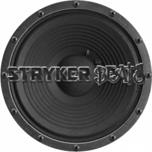 Stryker Beats - Karaoke DJ in New York City, New York