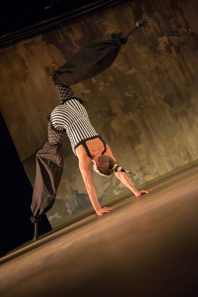 Hire Stumbling Star Stilt Walker Stilt Walker in Minneapolis, Minnesota