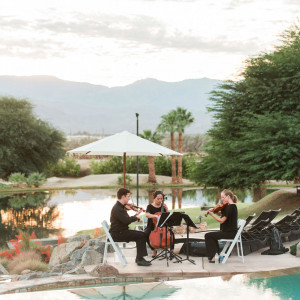 Subito Strings String Quartet - String Quartet in Los Angeles, California