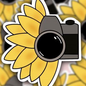 Sunflower Studios - Photographer / Photo Booths in Memphis, Tennessee