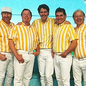 Surfin': The Beach Boys Tribute - Beach Boys Tribute Band / A Cappella Group in Los Angeles, California