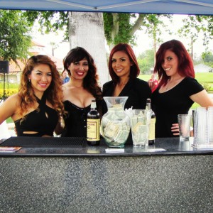 Sexy Event Staffing - Bartender in Los Angeles, California