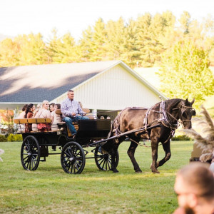 Suthers Carriage Company - Horse Drawn Carriage / Holiday Party Entertainment in Draper, Virginia