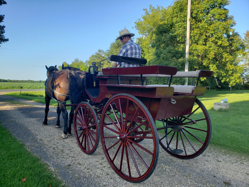 Gallery photo 1 of Swanepoel Carriage and Wagon Rides