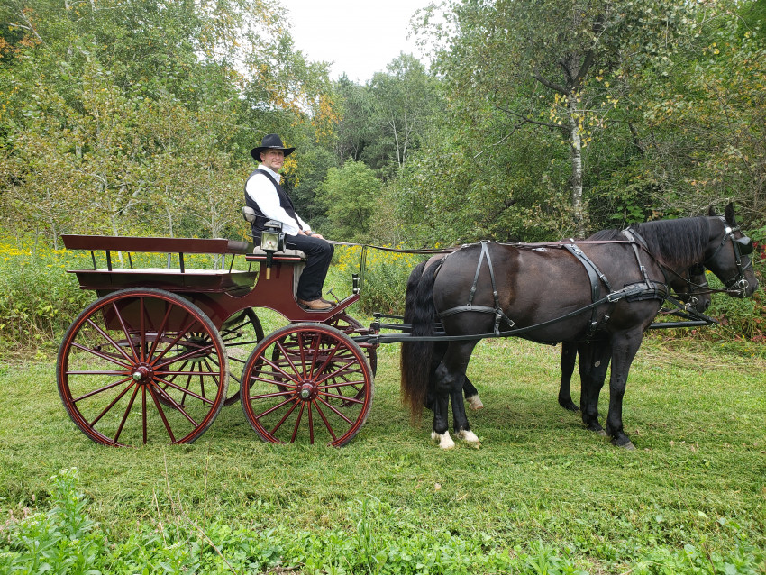 Hire Swanepoel Carriage and Wagon Rides Horse Drawn Carriage in