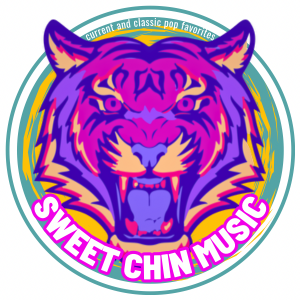 Sweet Chin Music - Cover Band in Brunswick, Ohio