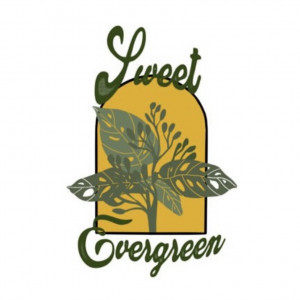 Sweet Evergreen