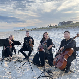 Sweet Harmony Live Music - String Quartet / Viola Player in Princeton, New Jersey