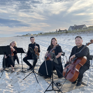 Sweet Harmony Live Music - String Quartet / Wedding Musicians in Stony Brook, New York