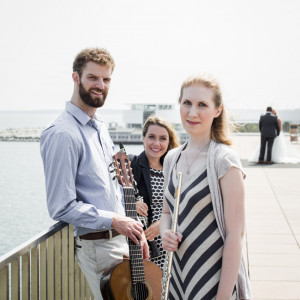 Tabula Nova Ensemble - Classical Ensemble / Wedding Musicians in Hartland, Wisconsin