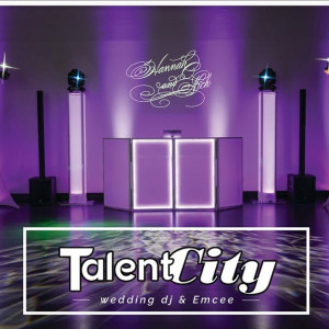 Talent City Artists - Wedding DJ in Chicago, Illinois