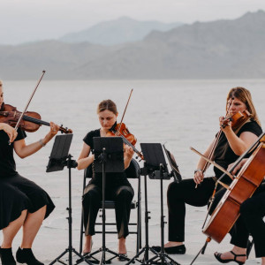 Black & White String Quartet - Cellist / Wedding Musicians in Salt Lake City, Utah