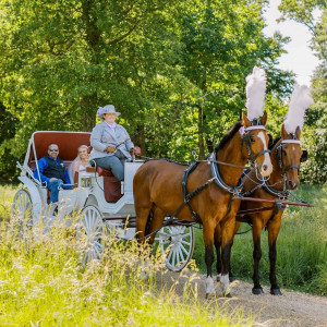 Tanglao Carriage Driving - Horse Drawn Carriage / Wedding Services in Easton, Maryland