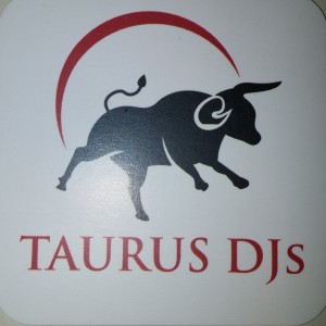 Taurus DJs - Wedding DJ / Wedding Entertainment in Raleigh, North Carolina