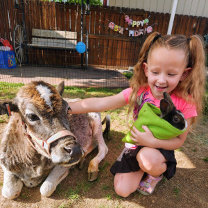 Taylor's Traveling Troupe - Petting Zoo in Pleasant Grove, Utah