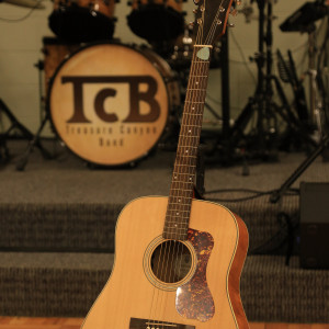 TCB -Treasure Canyon Band - Country Band / Wedding Musicians in Caldwell, Idaho