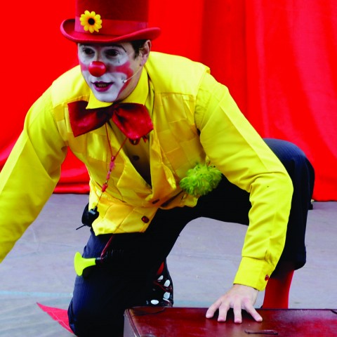 Hire Tchutchuco - Clown in New York City, New York