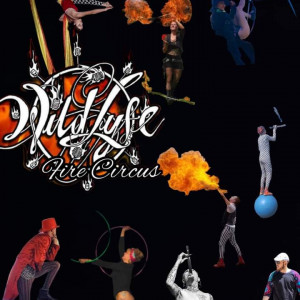 Team Wildlyfe Fire Performances - Traveling Circus in Denver, Colorado