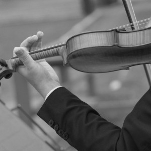 Texas Fiddler - Violinist in Houston, Texas