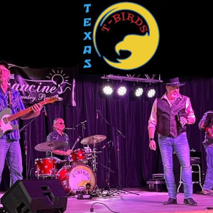 Texas T-Birds - Cover Band in Bryan, Texas