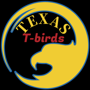 Texas T-Birds - Cover Band in Bryan, Texas