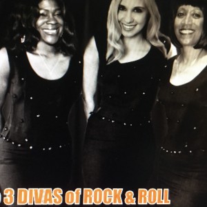 The 60’s and 70’s Dance Band - Oldies Tribute Show in New Hyde Park, New York