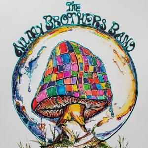 The All My Brothers Band - Allman Brothers Tribute Band in Chicago, Illinois