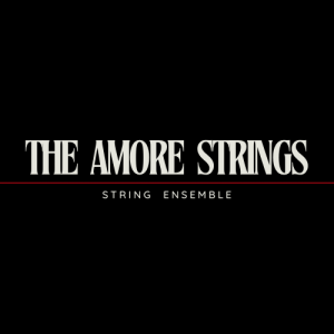 The Amore Strings - String Quartet in El Paso, Texas