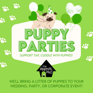 The Animal Pad Puppy Parties - Animal Entertainment in La Mesa, California