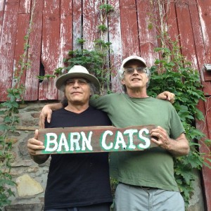 The Barn Cats - Americana Band in Laurens, New York
