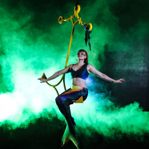 The Bergenworth Spider - Aerialist in Beaverton, Oregon