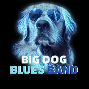The Big Dog Blues Band - Rock Band / 1970s Era Entertainment in Canton, Georgia