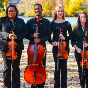 The Blue Moon Music Company - String Quartet / Wedding Musicians in Bay Shore, New York