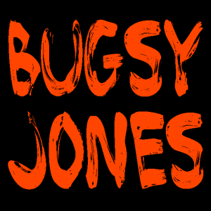 the Bugsy Jones band - Classic Rock Band in Bay Shore, New York