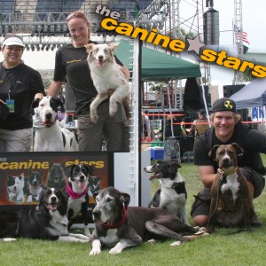 The Canine Stars - Extreme Stunt Dogs