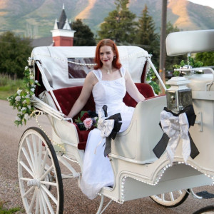 The Carriage Establishment - Horse Drawn Carriage / Wedding Planner in Kaysville, Utah