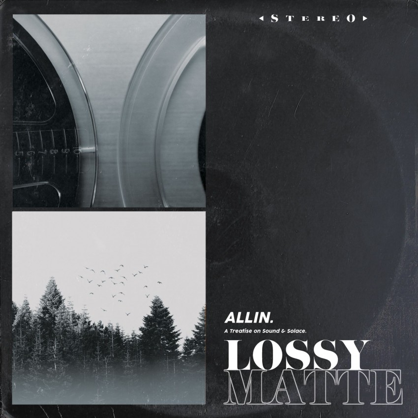 Gallery photo 1 of Allin.