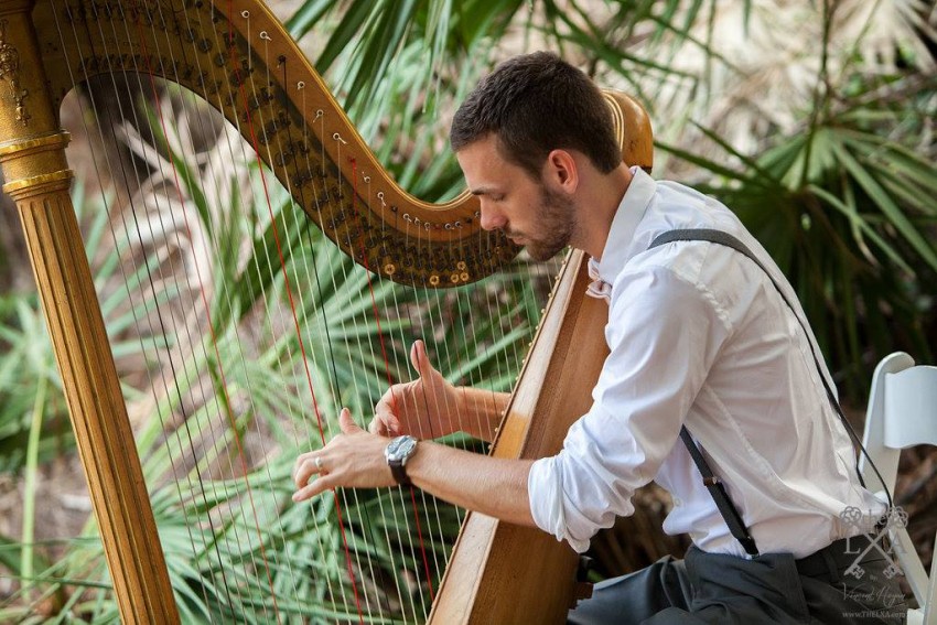 Gallery photo 1 of The Coastal Harpist - Christian Bell