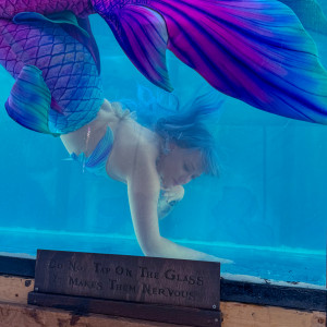 The Deep Sea Cyprus - Mermaid Entertainment / Costumed Character in Warfordsburg, Pennsylvania