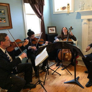 The Deming String Quartet - String Quartet / Wedding Entertainment in Bethel, Connecticut